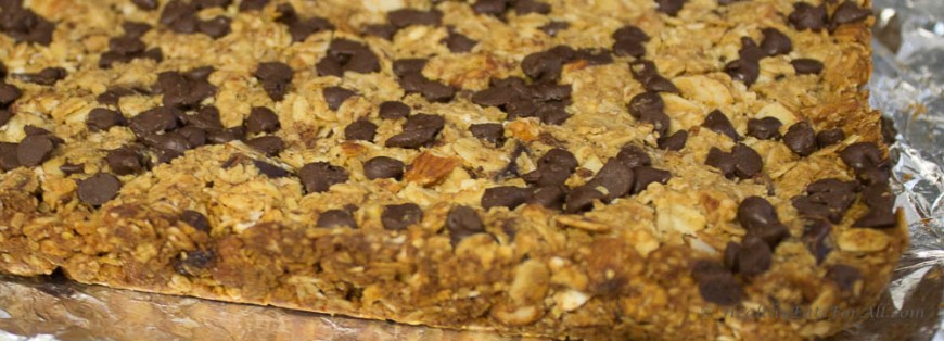Nutty Granola Bars-9