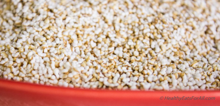 Amaranth Protein Bars-5