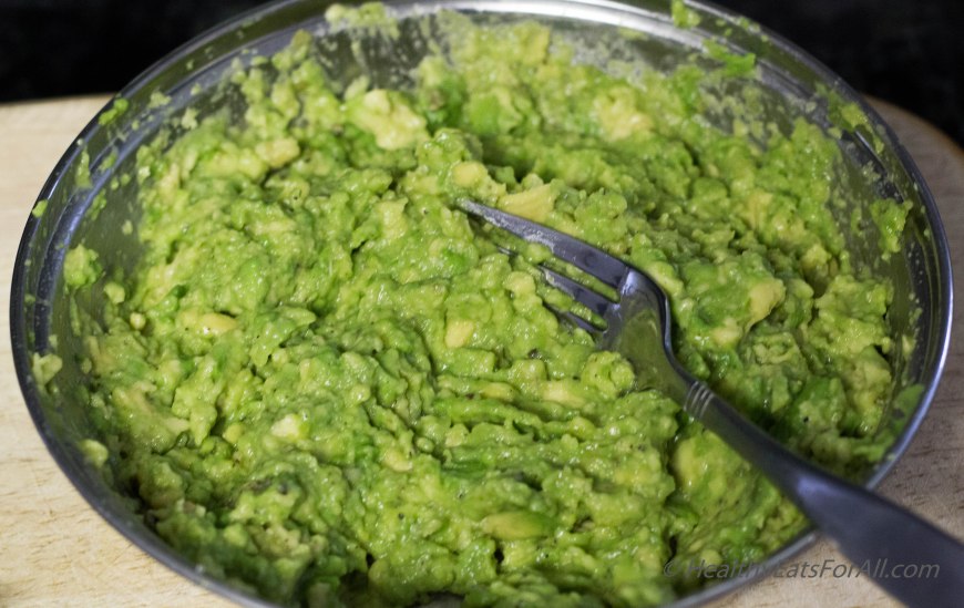 Restaurant Style Salsa and Guacamole-13