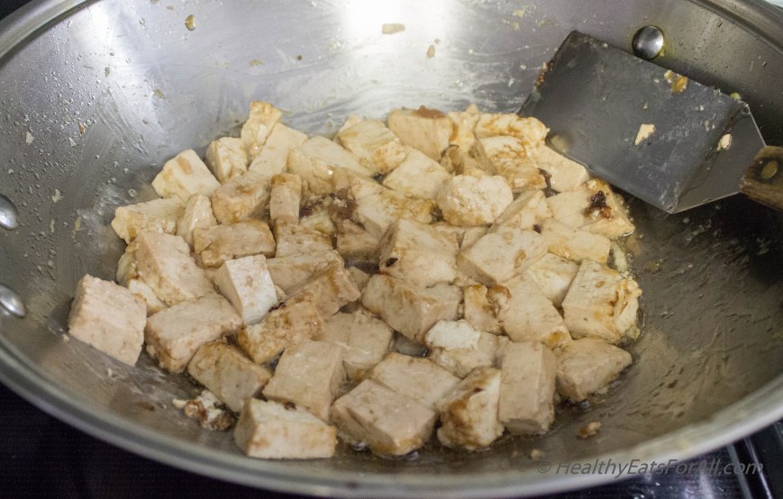 Spicy Hunan Tofu-11